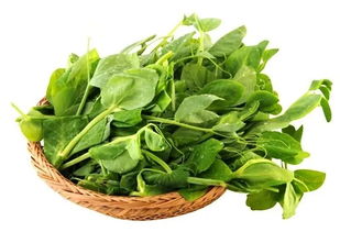 情暖冬至 低價(jià)歡樂(lè)購(gòu) 新鮮蔬菜