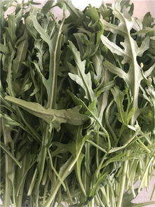 蘇州園區(qū)西餐配菜新風(fēng)尚 禾子生態(tài)食品，新鮮與品質(zhì)的雙重臻選